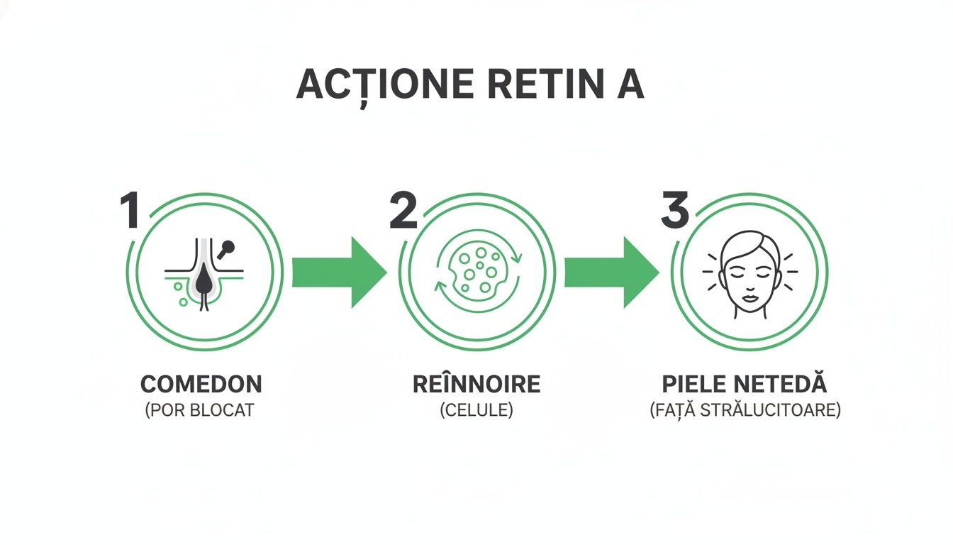 Ghidul tău pentru Retin A crema și un ten transformat în 2026 2 Diagrama explică acțiunea Retin A în 3 pași: de la por blocat la reînnoirea celulelor și piele netedă, strălucitoare.